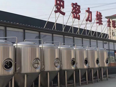 临夏县精酿啤酒设备厂—如何判断精酿啤酒设备的密封件需要更换？
